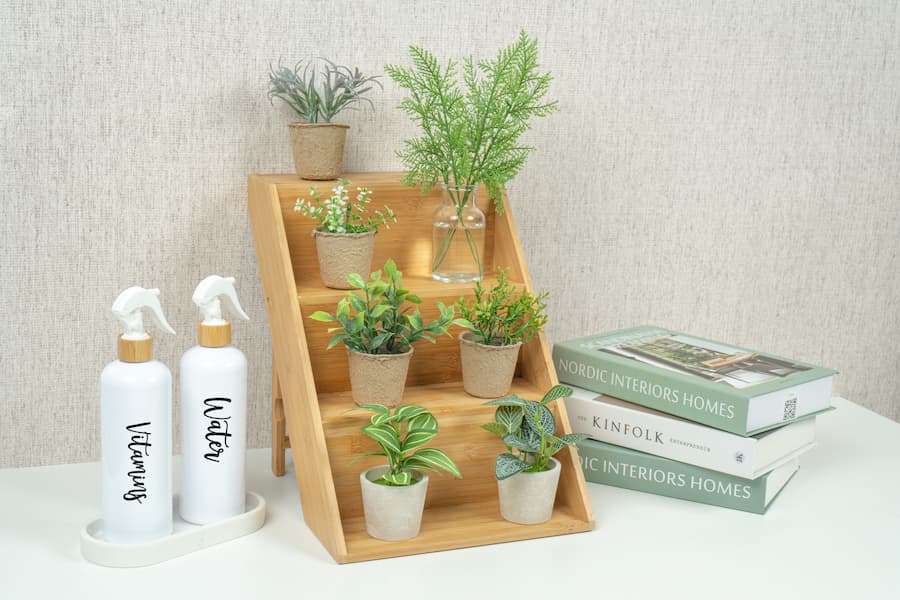 Jadikan Rumah Lebih Asri Dengan Tanaman Hias