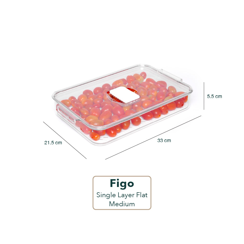 Figo Fridge Storage